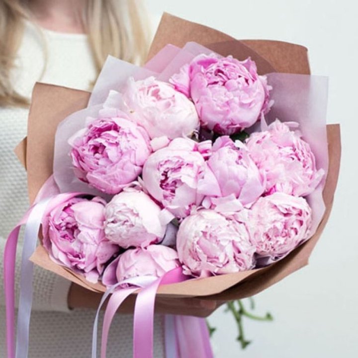 11 нежных пионов в Краснодаре