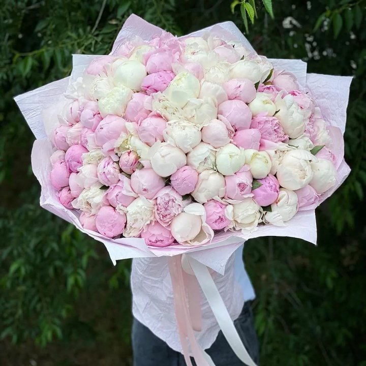 101 пион в Краснодаре