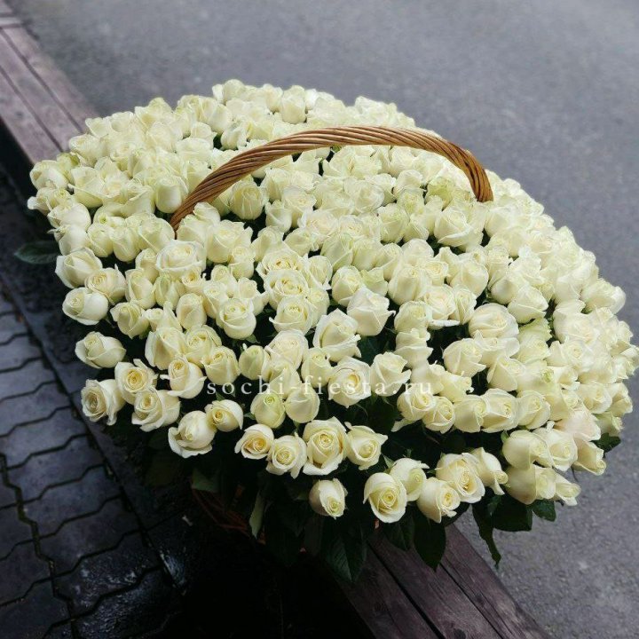 303 розы в корзине в Краснодаре