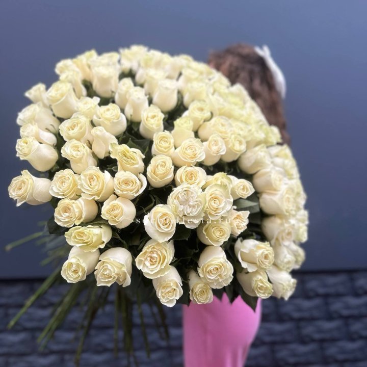 101 белая высокая импортная роза под ленту в Краснодаре