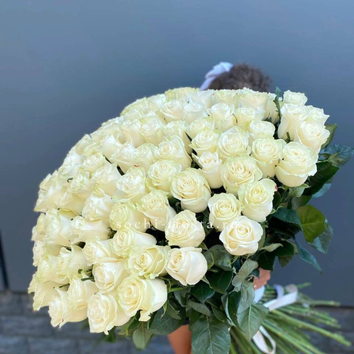 101 белая высокая роза в Краснодаре