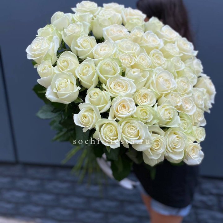 51 белоснежная высокая роза с доставкой в Краснодаре
