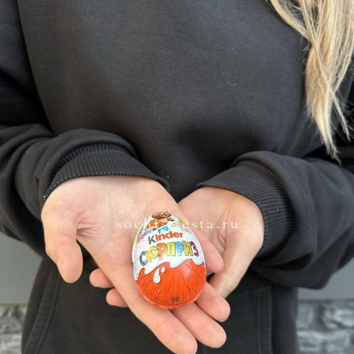Яйцо "Киндер Сюрприз" в Краснодаре