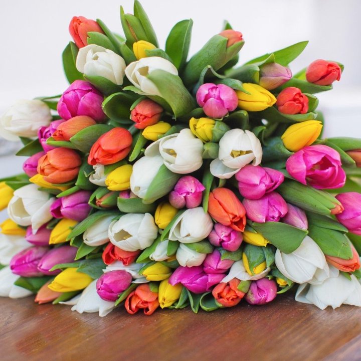 79 тюльпанов "Rainbow" в Краснодаре