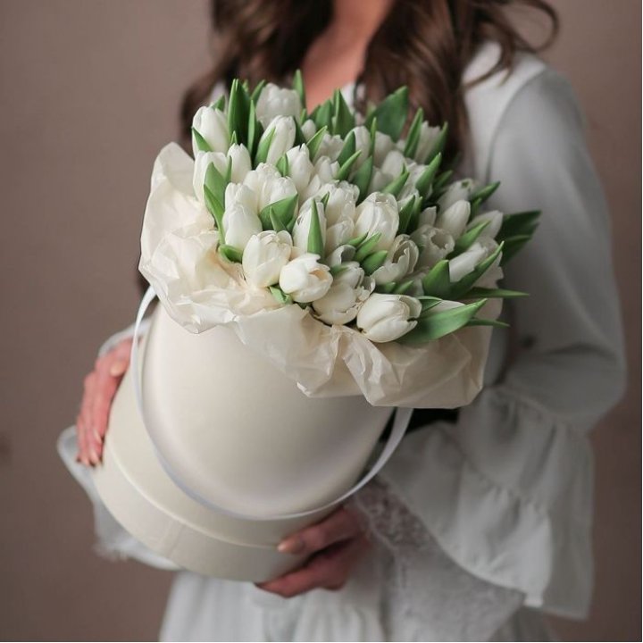 Тюльпаны в цилиндре SNOW в Краснодаре