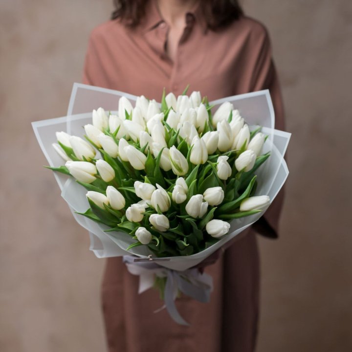 51 белый тюльпан в Краснодаре
