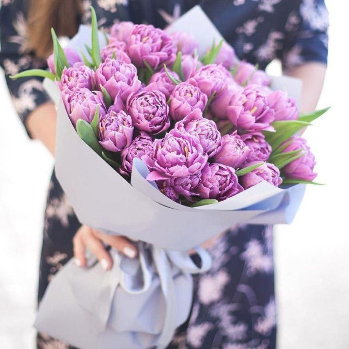 Pionesse в Краснодаре