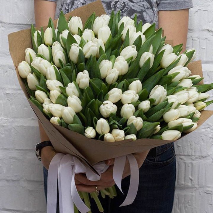 101 тюльпан SNOW в Краснодаре