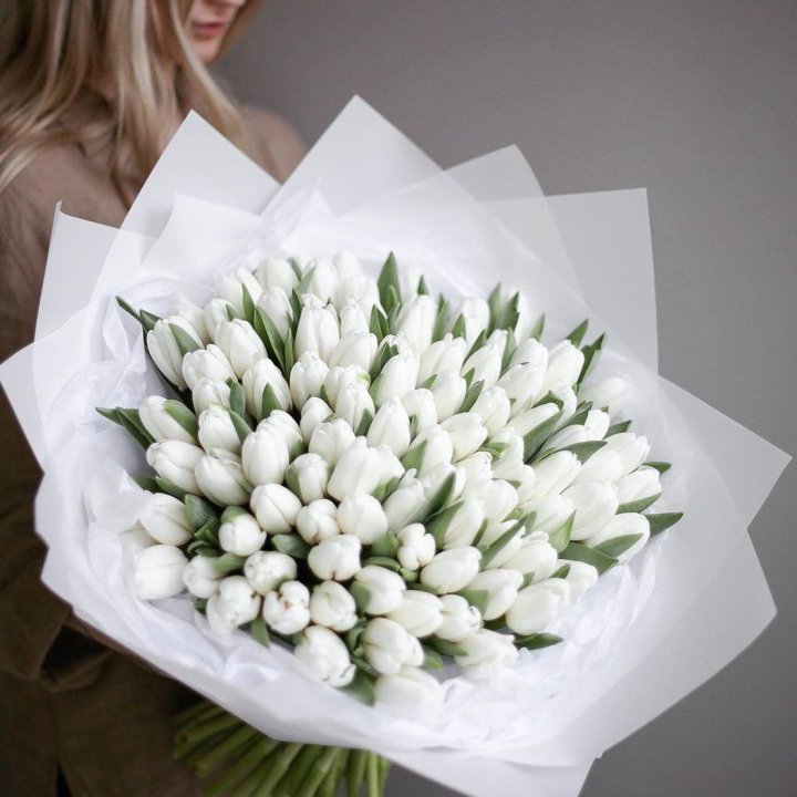 101 белый тюльпан в Краснодаре