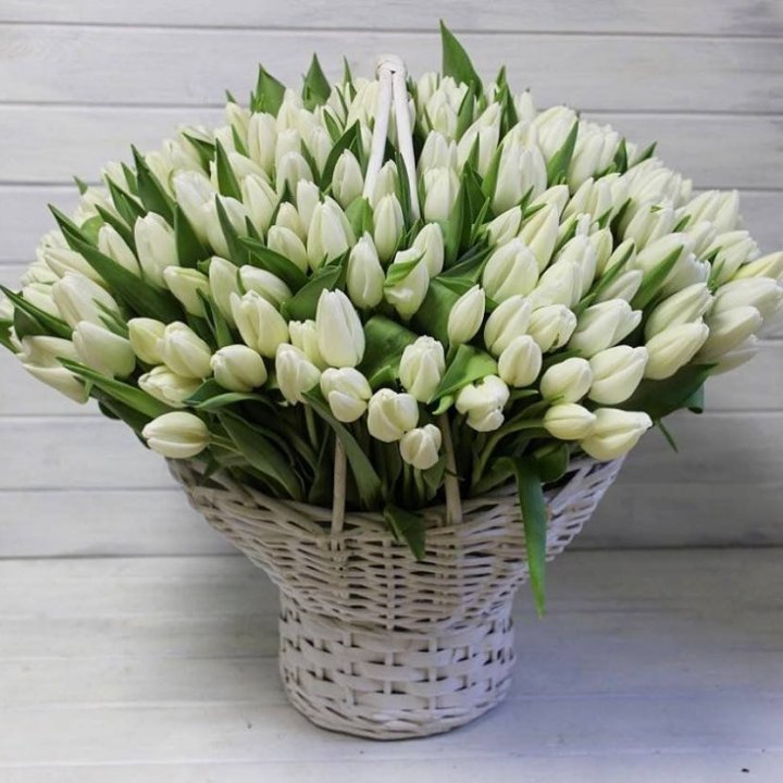 Корзина из 151 тюльпана в Краснодаре