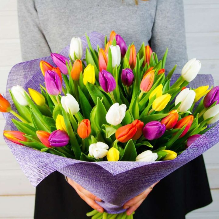 51 тюльпан Rainbow в Краснодаре