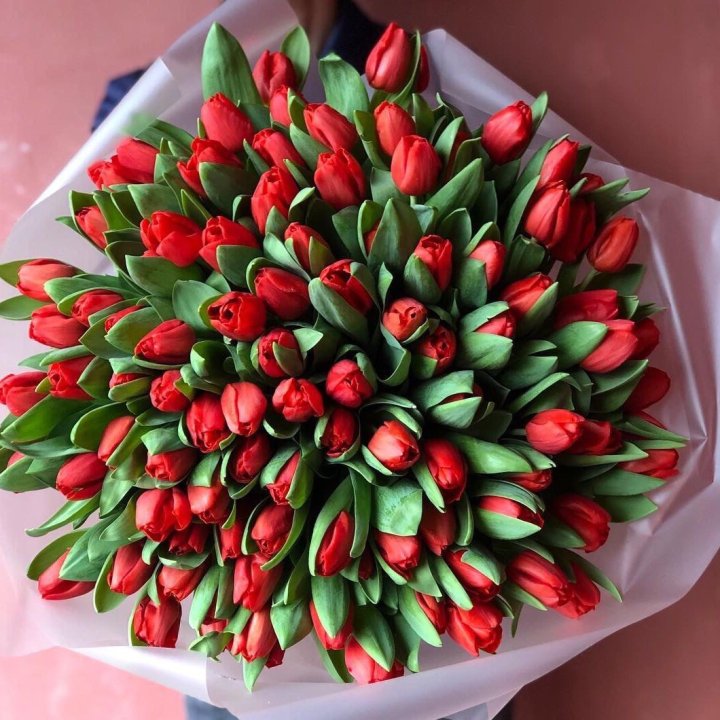 101 красный тюльпан в Краснодаре